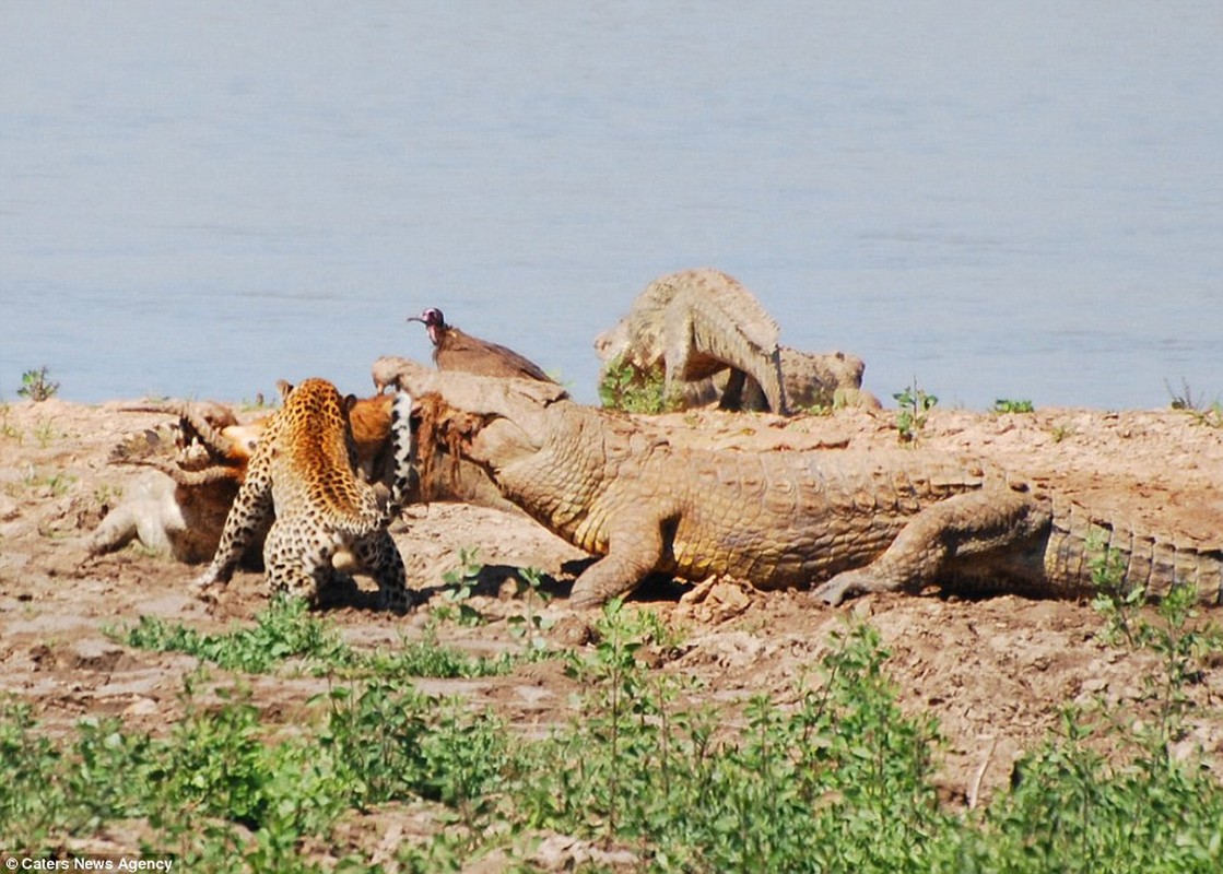 Bao chot mat quyet chien ca sau khong lo cuop moi-Hinh-4